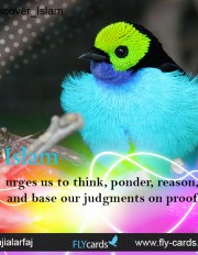 Islam urges us to think, ponder, reason, and base our judgments on proof.