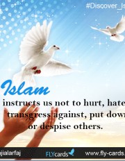 Islam instructs us not to hurt, hate, transgress against, put down, or despise others.
