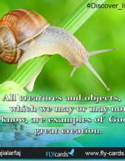 All creatures and objects, which we may or may not know, are examples of God’s great creation.