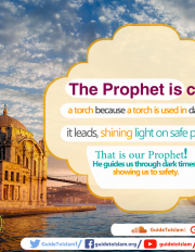 The Prophet is called a torch because a torch is used in darkness; it leads, shining light on safe passage