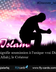 Islam means submission to the one true God (Allah), the Creator.