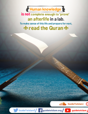 Read the Quran