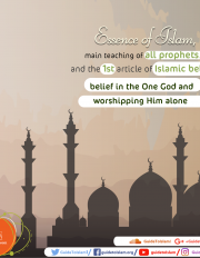 Essence of Islam