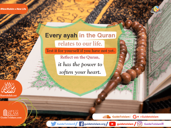 Every ayah in the Quran relates to our life