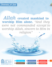 Allah created mankind to worship Him alone
